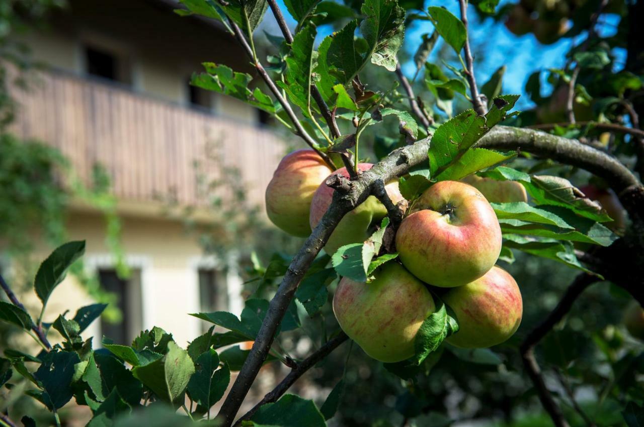 Vila Pr'Jernejc Agroturism Lesce  Exteriér fotografie