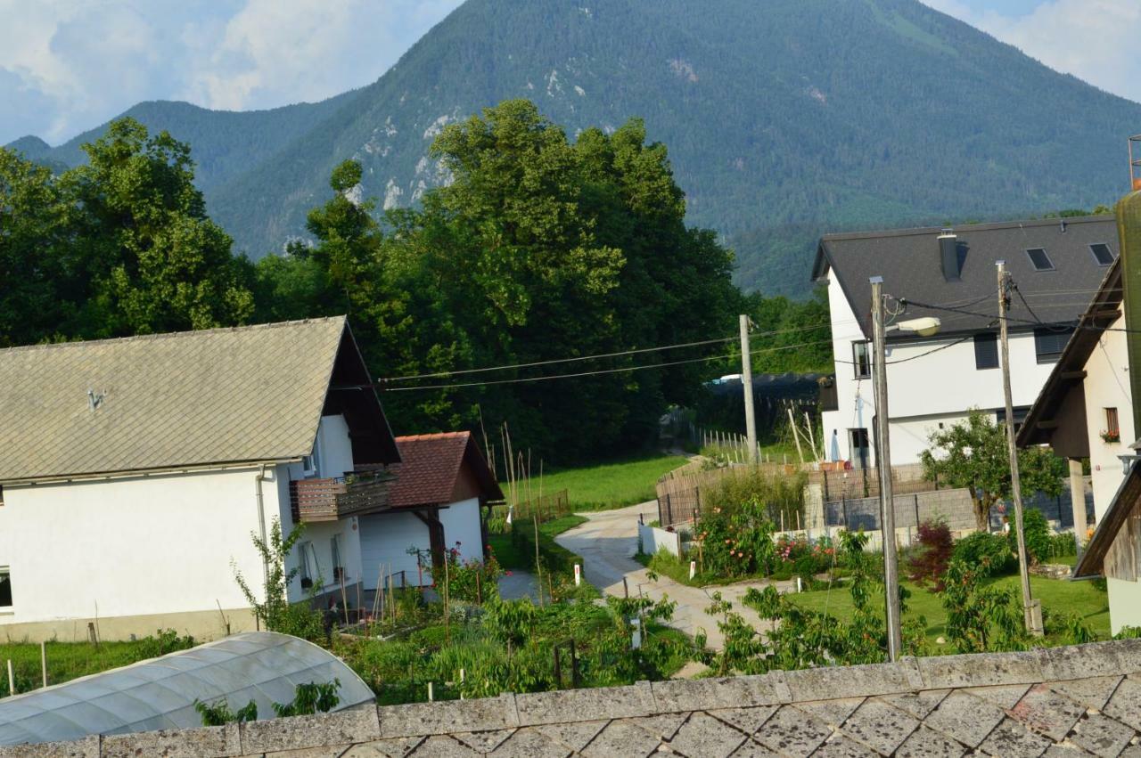 Vila Pr'Jernejc Agroturism Lesce  Exteriér fotografie