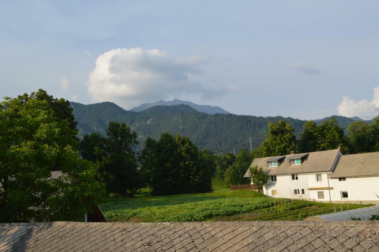 Vila Pr'Jernejc Agroturism Lesce  Exteriér fotografie